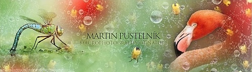 Martin Pustelník - www.facebook.com/MartinPustelnikPhotography/